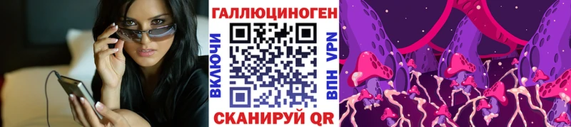 Псилоцибиновые грибы Cubensis дарнет шоп кракен как войти Окуловка